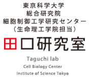 東京科学大学 総合研究院 細胞制御工学研究センター（生命理工学院担当）田口研究室